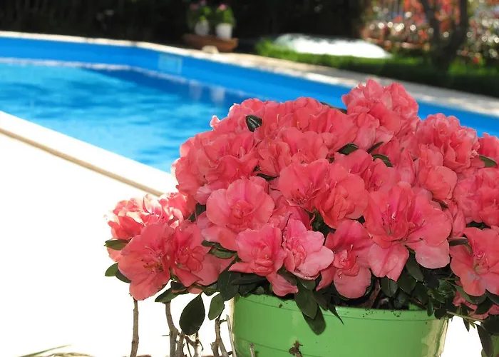 Апартаменты Exanthia Villas *